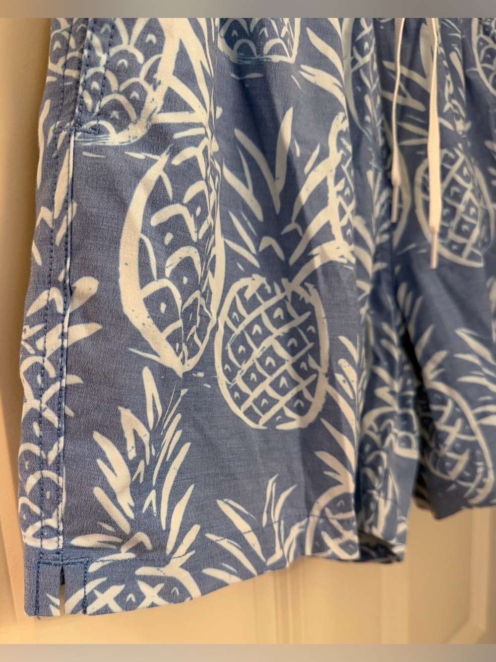 Chubbies Men's Classic 5.5" Swim Trunks in Blue Pineapple Print, Small - Picture 6 of 12